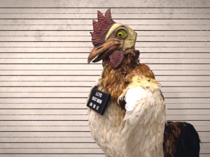 chicken